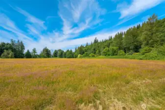 Incredible opportunity on the lower field, open, flat , sunny with views and ready for your vision.