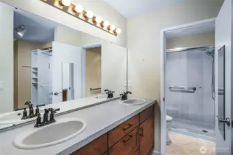 Updated Primary Bath with Walk In Shower