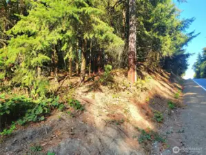 The best access to the trail is by heading up the small embankment located to the east of the parking spot, specifically near the pole that has a brown metal piece at the bottom.