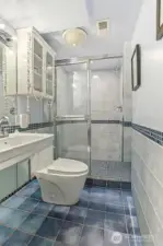 Basement 2/3 bath (virtual staging removed some personal items)