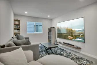 This makes a great media room~