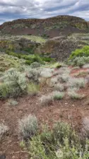 Gorgeous canyon views