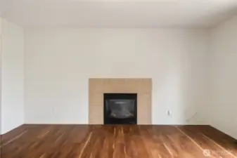 Fireplace in Great Room.
