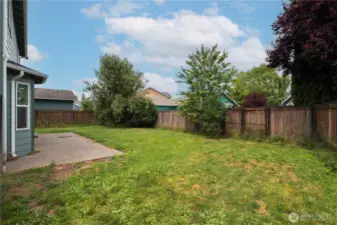 Back Garden.
