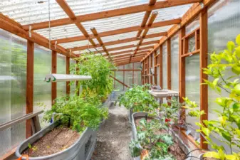 Amazing greenhouse with irrigation and power.