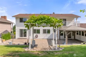 Gorgeous backyard patio space with fig, grape and Mulberry trees!