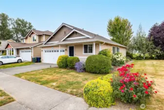 Single-level 3 bedroom, 2 bath move-in ready home
