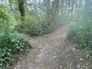 off the groomed trail to the left are the perc holes which are marked with stakes