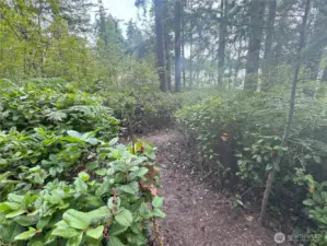 continue down the trail to the water
