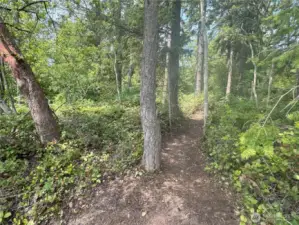this beautiful property is lightly treed and so beautiful!