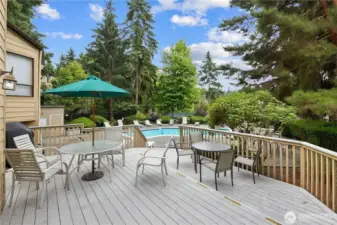 Relax next to the pool on the summer