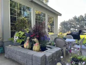 Water feature that drained and used for decorating in fall and winter.