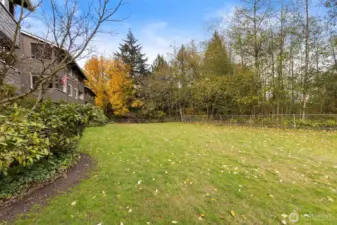 Large yard just outside patio