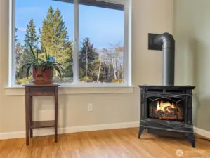 freestanding stove with heat control.