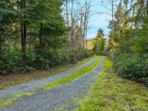 Private driveway with fence and motion sensor for security.
