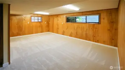 Lower level family room.