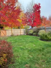 Fully Fenced backyard