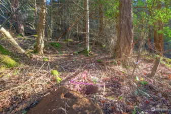 Septic soil test hole