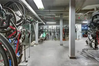 Basement bicycle storage ($10/mo)