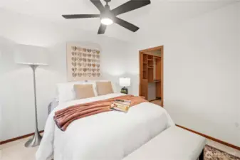 Plush Carpet