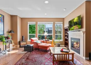 Large Living room with Gas fireplace