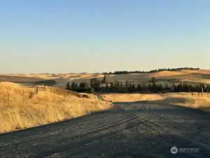 Unpaved City St.