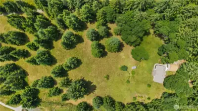 Birds-Eye Beauty: Your Private Orchard Awaits!  From above, you can see it all—your very own apple orchard, thriving grapevine, and expansive clearing tucked into lush Pacific Northwest forest. Whether you're dreaming of homesteading, hobby farming, or just space to breathe, this is the perfect blend of serenity and opportunity.