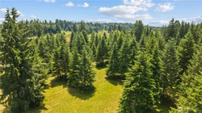 Privacy. Possibility. Potential.  Welcome to your own private forest sanctuary! This aerial shot outlines the full scope of the 9+ acre lot, offering a peaceful escape surrounded by evergreens with room to build, expand, or just breathe.