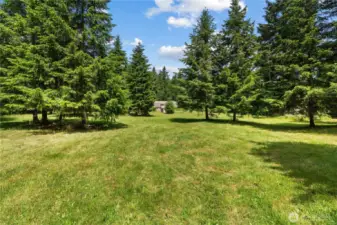 Expansive Clearing Surrounded by Evergreen Privacy  This beautifully maintained grassy clearing is the perfect space for outdoor activities, gardening, or potential building projects. Framed by lush, mature evergreens, it offers a private, park-like setting that’s ideal for play, relaxation, or entertaining. Whether you're envisioning a fire pit, picnic area, or future homestead addition, this flat & usable land delivers endless possibilities in the heart of the Pacific Northwest.