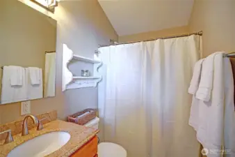 The apartment's 3/4 bath.