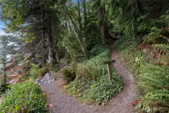 Walking trail.