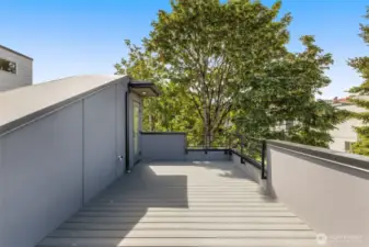 Spacious rooftop entertaining area — perfect for grilling, lounging, or stargazing.