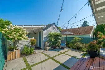 Ultra-low maintenance yard