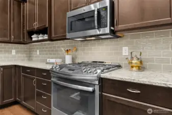 Stainless steel appliances & gas range