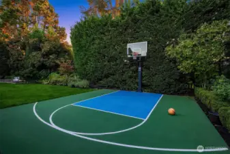 Sports court compete with netting and privacy.