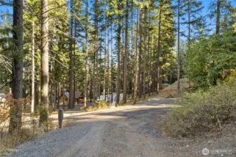 The view from the top of the driveway. RV space with hookups on the right.