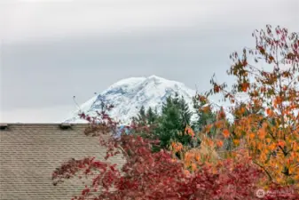 Mt. Rainier View form the front of the home!