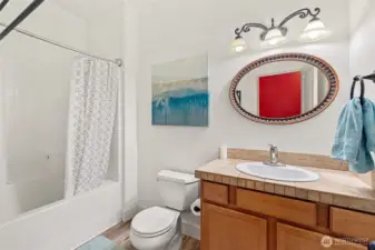 Lower level Bathroom