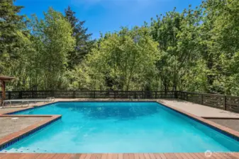 Your very own private retreat surrounded by tall trees. If you trim trees there is a possible view of the lake.