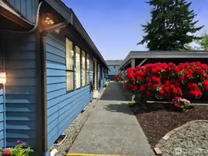 front walkway between units and carport.