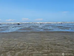 Clam dig in May