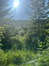 View from one of the potential homesites.