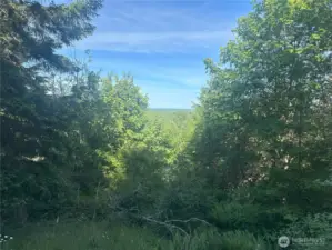 View from the top of the property looking east.