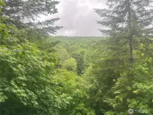 View of property from potential homesite.