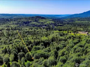 Approximate location of property. Property is heavily treed with great mix of Fir, Cedar, Alder and Maples.