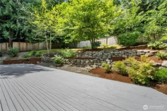 Backyard and decking (just stained)