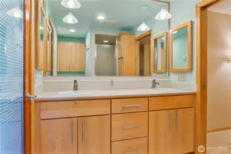 primary bathroom