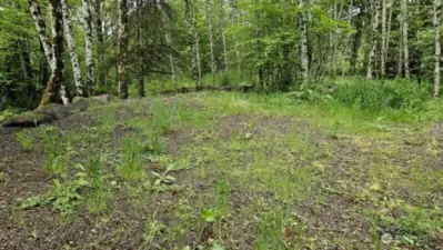 Home site 136 Peppermill Rd, Kelso WA 6 acres