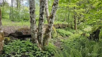 136 Peppermill Rd, Kelso Large boulder retaining wall for road system 6 acres
