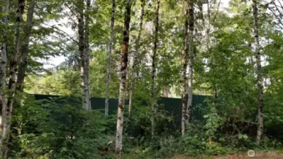 136 Peppermill Rd, Kelso Privacy fence on 6 acres with building sites
